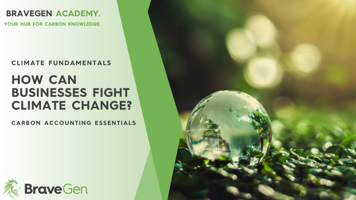 How Can Businesses Fight Climate Change